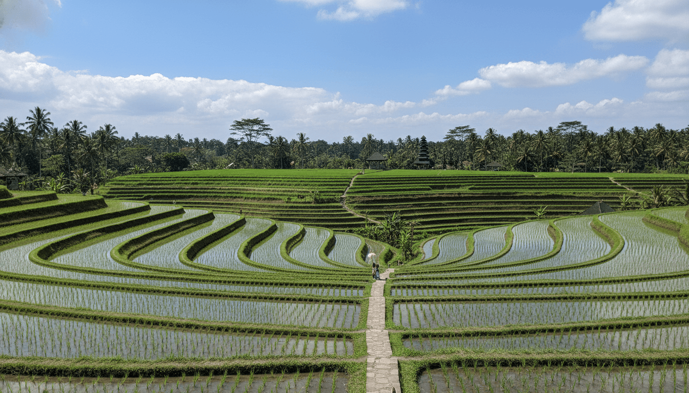 Lush green rice terraces in Ubud Bali under a bright blue sky